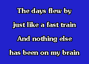 The days flew by
just like a fast train
And nothing else

has been on my brain