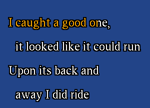 I caught a good one,

it looked like it could run

Upon its back and

away I did ride