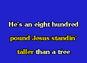 He's an eight hundred
pound Jesus standin'

taller than a tree