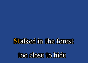 Stalked in the forest

too close to hide
