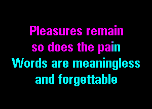 Pleasures remain
so does the pain

Words are meaningless
and forgettable