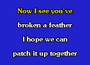 Now I see you've
broken a feaiher

I hope we can

patch it up togeiher