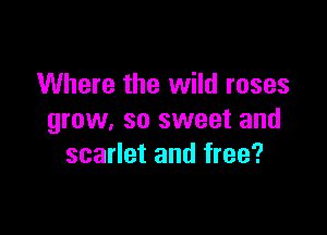 Where the wild roses

grow, so sweet and
scarlet and free?