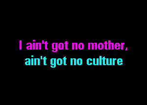 I ain't got no mother,

ain't got no culture