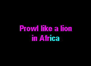 Prowl like a lion

in Africa