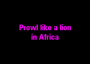 Prowl like a lion

in Africa