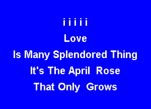 ls Many Splendored Thing
It's The April Rose
That Only Grows