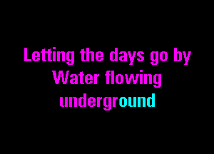Letting the days go by

Water flowing
underground