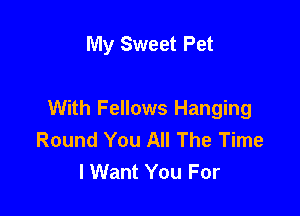 My Sweet Pet

With Fellows Hanging
Round You All The Time
I Want You For