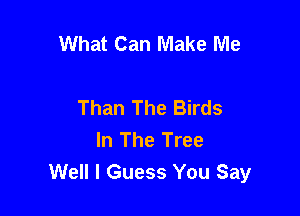 What Can Make Me

Than The Birds

In The Tree
Well I Guess You Say