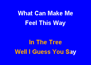 What Can Make Me
Feel This Way

In The Tree
Well I Guess You Say