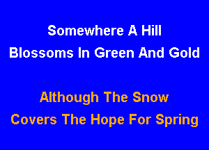 Somewhere A Hill
Blossoms In Green And Gold

Although The Snow
Covers The Hope For Spring