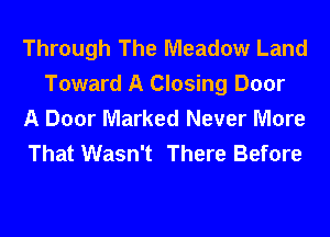 Through The Meadow Land
Toward A Closing Door
A Door Marked Never More
That Wasn't There Before