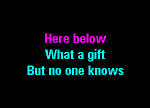 Here below

What a gift
But no one knows