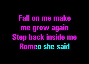 Fall on me make
me grow again

Step back inside me
Romeo she said