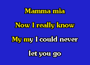 Mamma mia

Now I really know

My my 1 could never

let you go