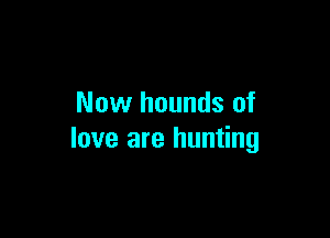 Now hounds of

love are hunting
