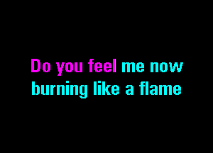 Do you feel me now

burning like a flame