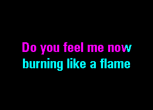 Do you feel me now

burning like a flame