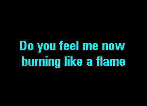 Do you feel me now

burning like a flame