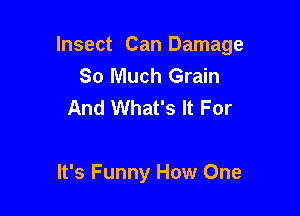 Insect Can Damage
So Much Grain
And What's It For

It's Funny How One