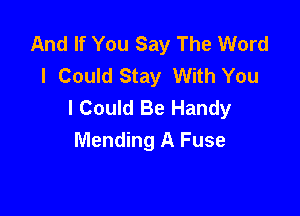 And If You Say The Word
I Could Stay With You
I Could Be Handy

Mending A Fuse