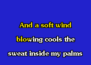 And a soft wind
blowing cools the

sweat inside my palms