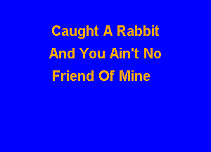 Caught A Rabbit
And You Ain't No
Friend Of Mine