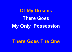 Of My Dreams
There Goes

My Only Possession

There Goes The One