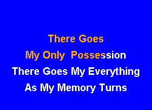 There Goes

My Only Possession
There Goes My Everything
As My Memory Turns