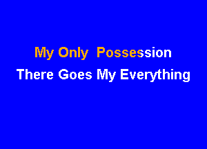 My Only Possession

There Goes My Everything