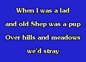 When I was a lad
and old Shep was a pup
Over hills and meadows

we'd stray