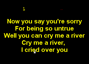 Now you say you're sorry
For being so untrue

Well you can cry me a river
Cry me a river,
I criqd over you