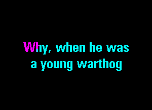 Why. when he was

a young warthog