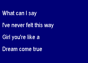 What can I say

I've never felt this way

Girl you're like a

Dream come true