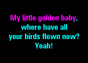 My little golden baby,
where have all

your birds flown now?
Yeah!