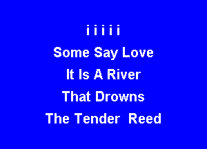 Some Say Love
It Is A River

That Drowns
The Tender Reed