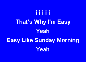 That's Why I'm Easy
Yeah

Easy Like Sunday Morning
Yeah