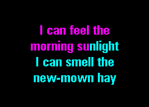 I can feel the
morning sunlight

I can smell the
new-mown hay