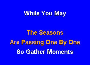 While You May

The Seasons
Are Passing One By One
80 Gather Moments