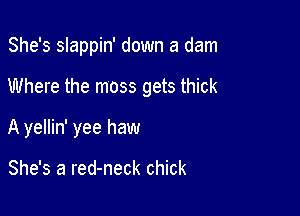 She's slappin' down a dam

Where the moss gets thick

A yellin' yee haw

She's a red-neck chick