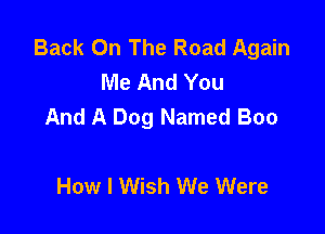 Back On The Road Again
Me And You
And A Dog Named Boo

How I Wish We Were