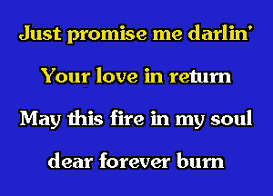 Just promise me darlin'
Your love in return
May this fire in my soul

dear forever burn