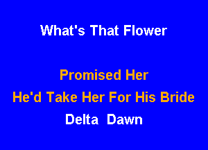 What's That Flower

Promised Her
He'd Take Her For His Bride
Delta Dawn