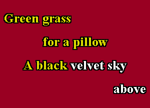 Green grass

for a pillow

A black velvet sky

above