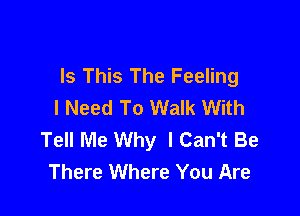 Is This The Feeling
I Need To Walk With

Tell Me Why I Can't Be
There Where You Are