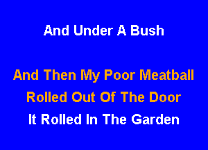 And Under A Bush

And Then My Poor Meatball

Rolled Out Of The Door
It Rolled In The Garden