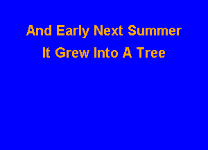 And Early Next Summer
It Grew Into A Tree