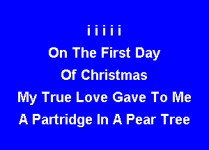 On The First Day
Of Christmas

My True Love Gave To Me
A Partridge In A Pear Tree