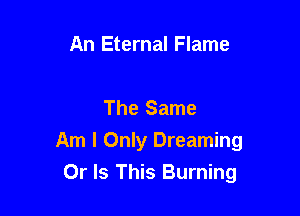 An Eternal Flame

The Same

Am I Only Dreaming
Or Is This Burning
